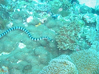IMG_7552.JPG IMG_7552.JPG