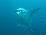 IMG_2069.jpg
