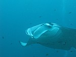 IMG_2086.jpg